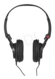 Słuchawki nauszne z mikrofonem Panasonic RP-DJS150ME (Czarny)